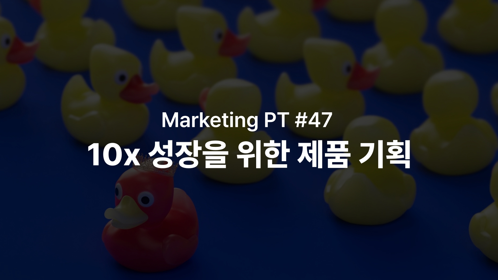 콘텐츠 썸네일